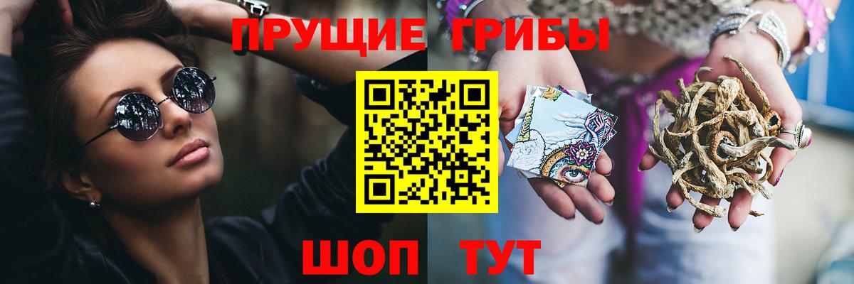 Псилоцибиновые грибы ЛСД Прохладный